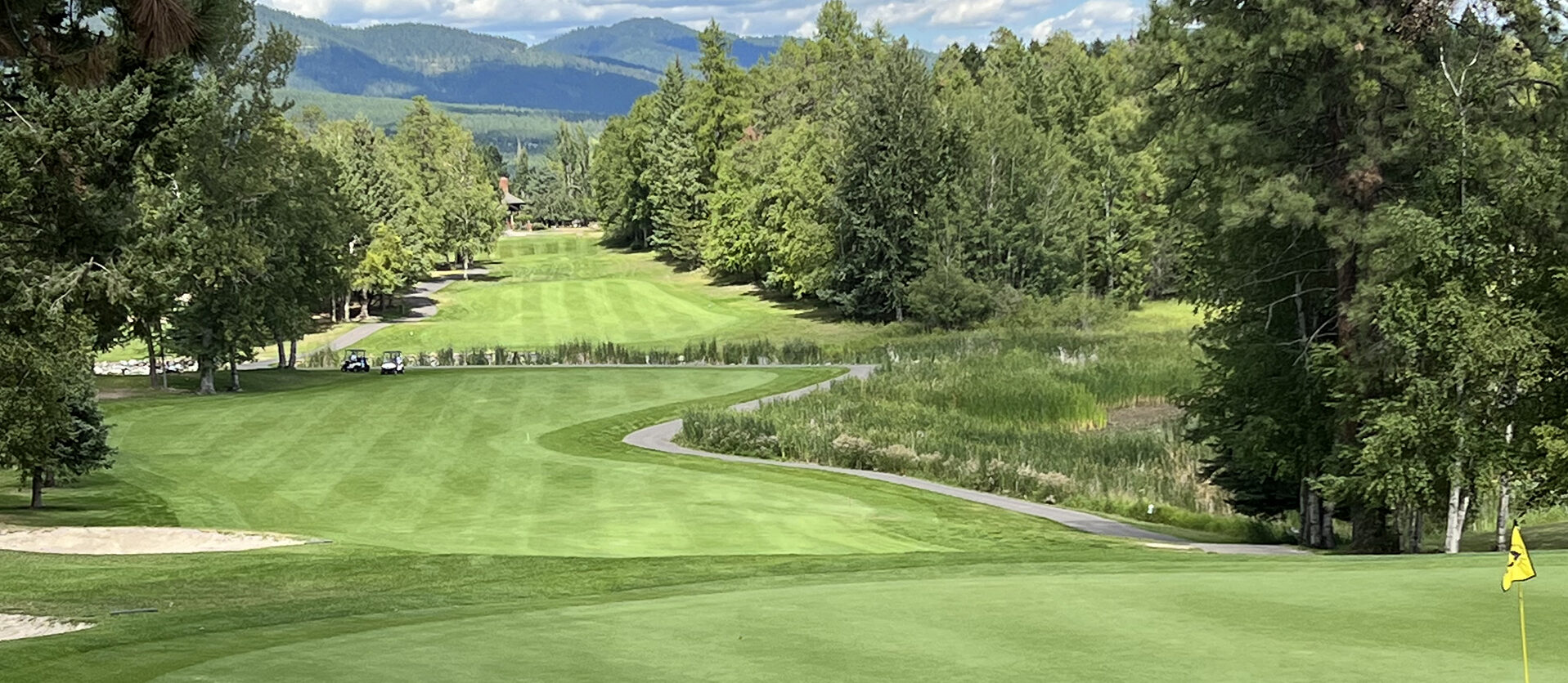 whitefish banner 26